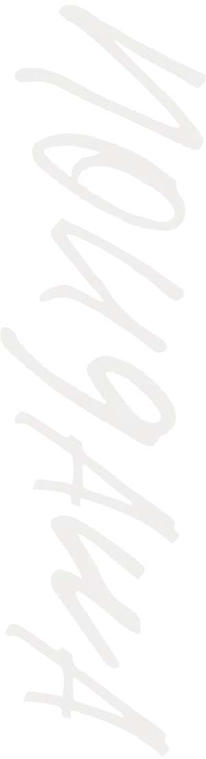 NOUGAWA