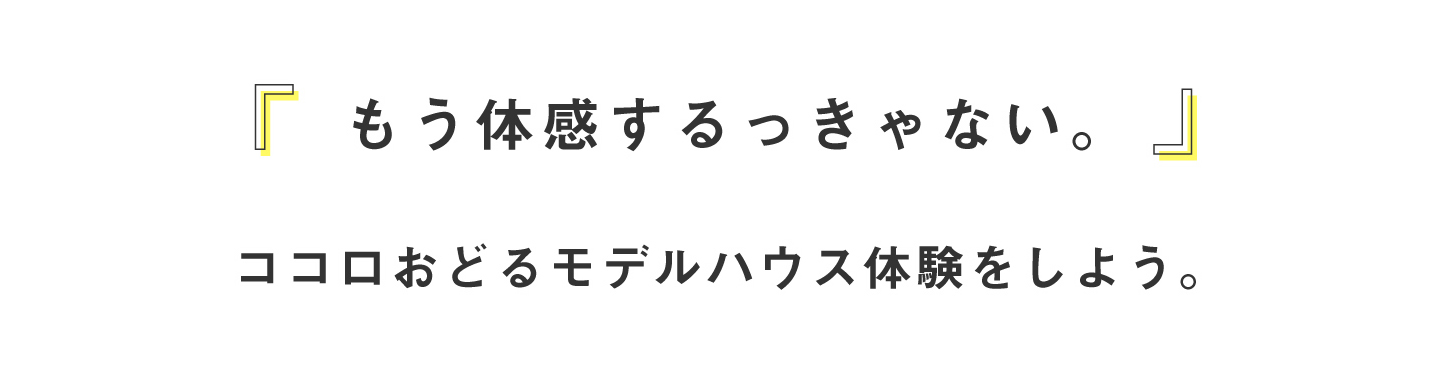 写真だけでは伝わらない心地よさを体感できる直川モデルハウス見学会